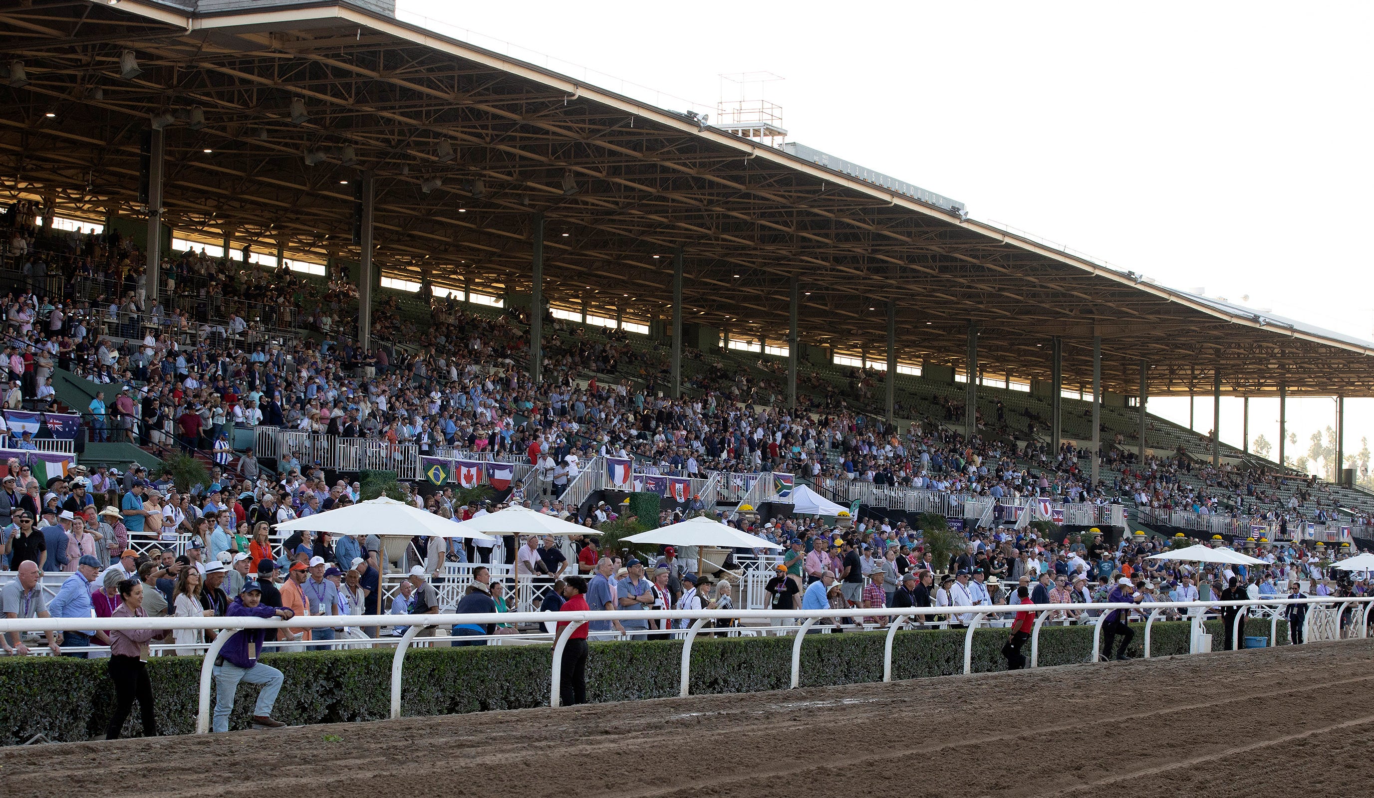 Santa Anita sees mixed wagering results on opening day
